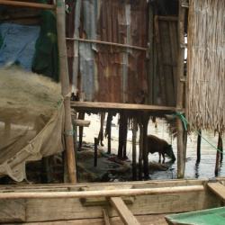 makoko before