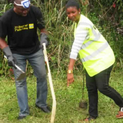 09-tree-planting-at-calabar-airport